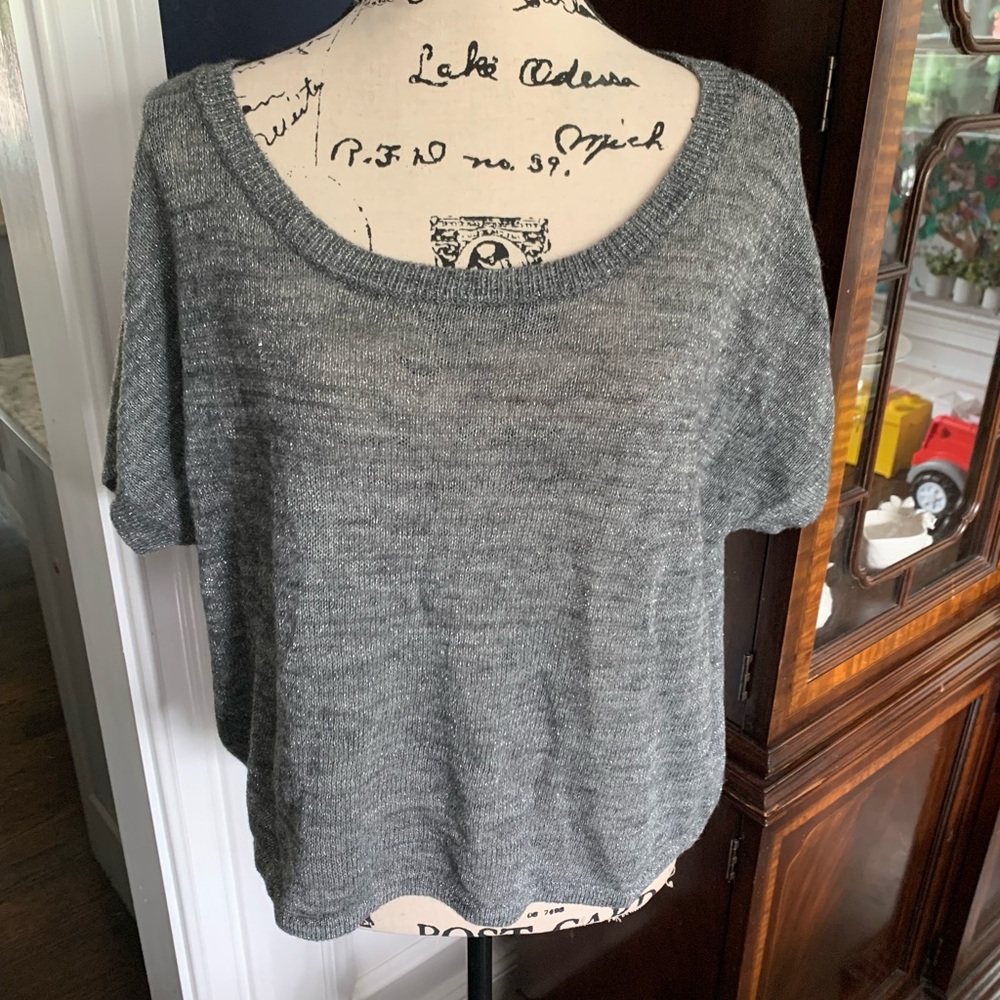 Express Cropped sweater